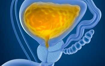 Das Mikrobiom der Blase – Gute Aussichten für die Behandlung & Prävention von Blasenstörungen wie z.B. der überaktiven Blase 